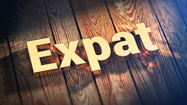 The word "Expat" is lined with gold letters on wooden planks. 3D illustration pic
